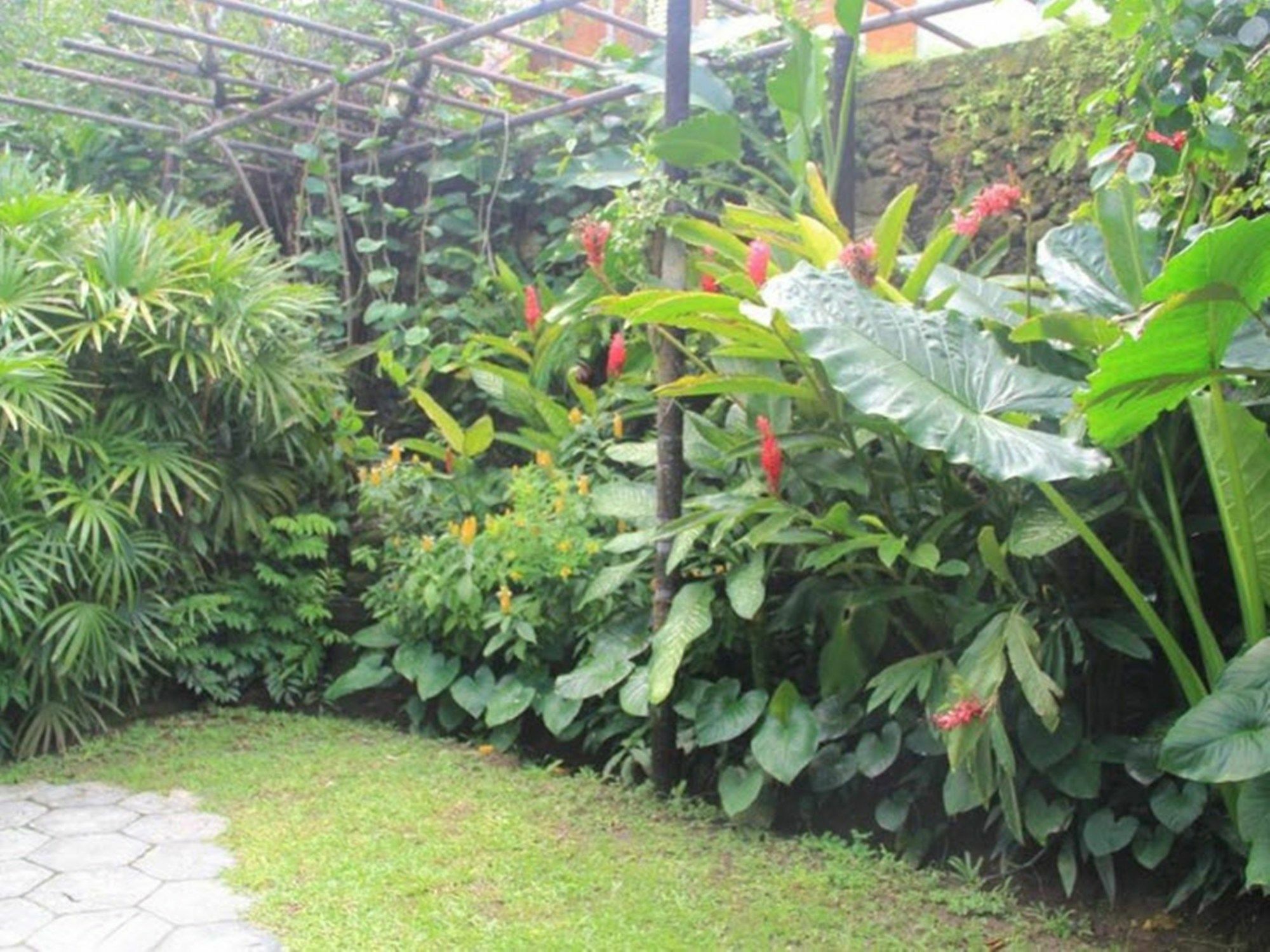 सहारा Tandjung Sari Sanur (Bali)